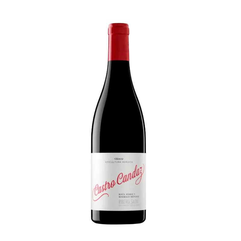 Vino Tinto Castro Candaz 75cl